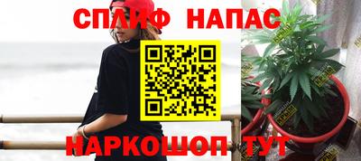 прущие крисы Краснознаменск