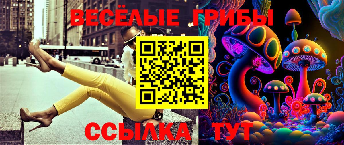 Галлюциногенные грибы MAGIC MUSHROOMS  Вход с VPN  Заинск  Псилоцибиновые грибы ЛСД 