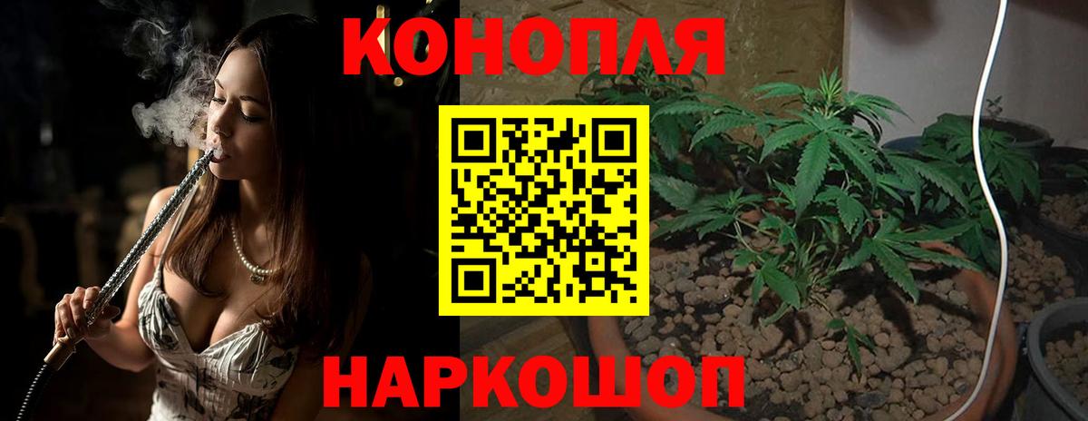 Каннабис план  Бошки Шишки Bruce Banner  Канабис ГИДРОПОН  Марихуана AK-47  Вход с VPN  Заинск 